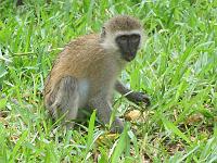 Kenya 129